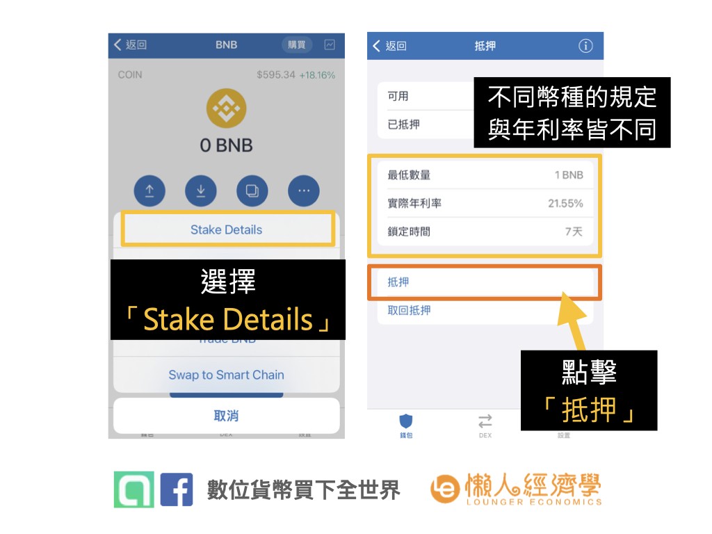 如何在Trust Wallet上進行BNB質押：閱讀Stake Details