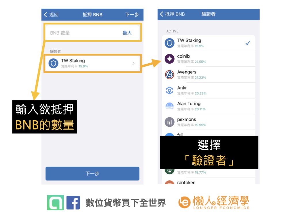 如何在Trust Wallet上進行BNB質押：閱讀Stake Details